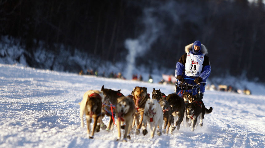 FeaturedPost Dog Sledding Updates to Keep an Eye On - Dog Sledding Updates to Keep an Eye On