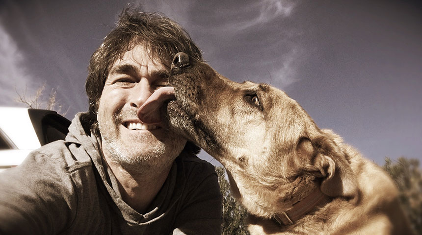 FeaturedPost Dog Sled Breeds 101 The Elites - Dog Sled Breeds 101: The Elites